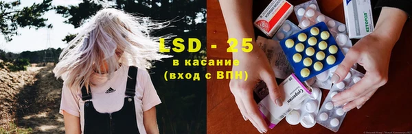 ПСИЛОЦИБИНОВЫЕ ГРИБЫ Баксан