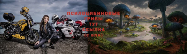 ПСИЛОЦИБИНОВЫЕ ГРИБЫ Баксан