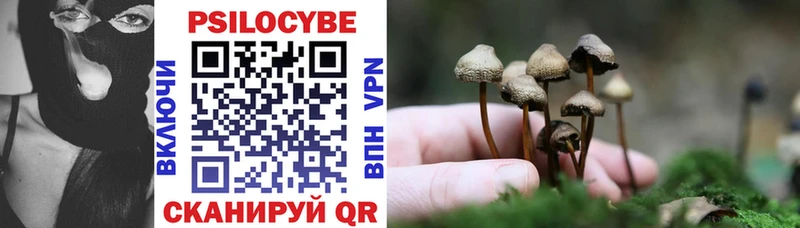 Псилоцибиновые грибы мицелий  kraken зеркало  Сретенск 