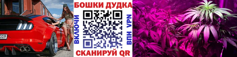 Марихуана Bruce Banner  ссылка на мегу маркетплейс  Сретенск 